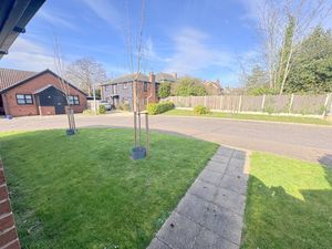 Spingfields- click for photo gallery